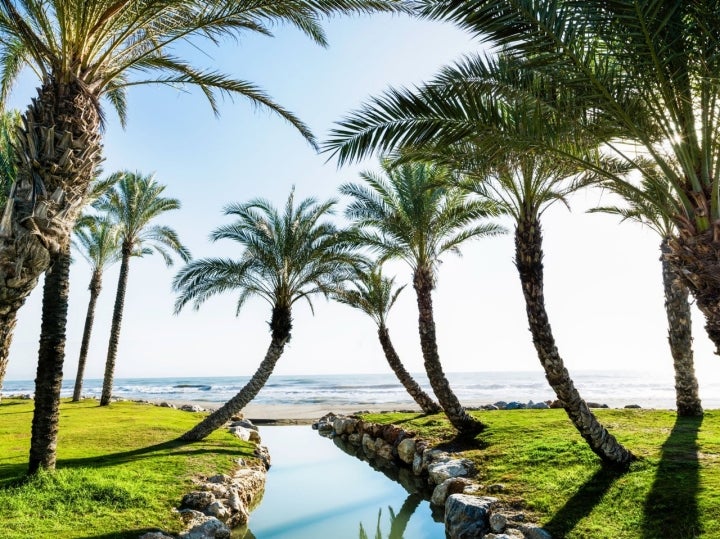 Un kilómetro y medio de un ancho arenal forman Los Álamos. Foto: Shutterstock.