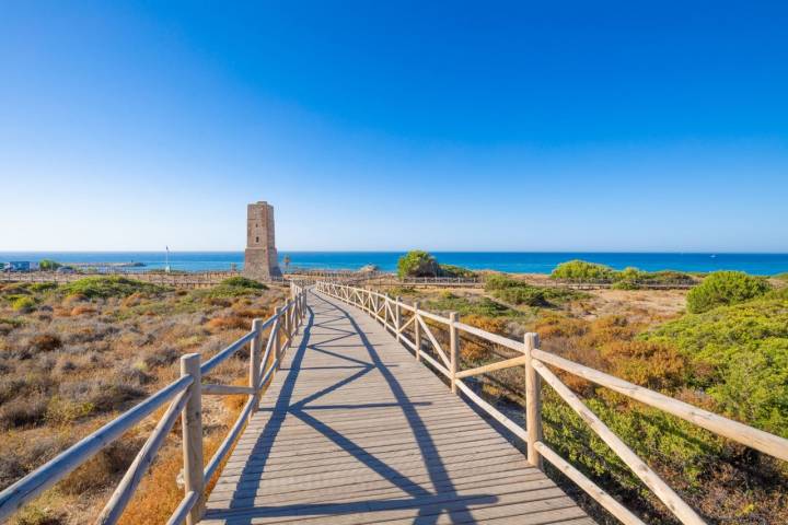 El acceso a la playa de Cabopino se hace por una pasarela de madera. Foto: Shutterstock.