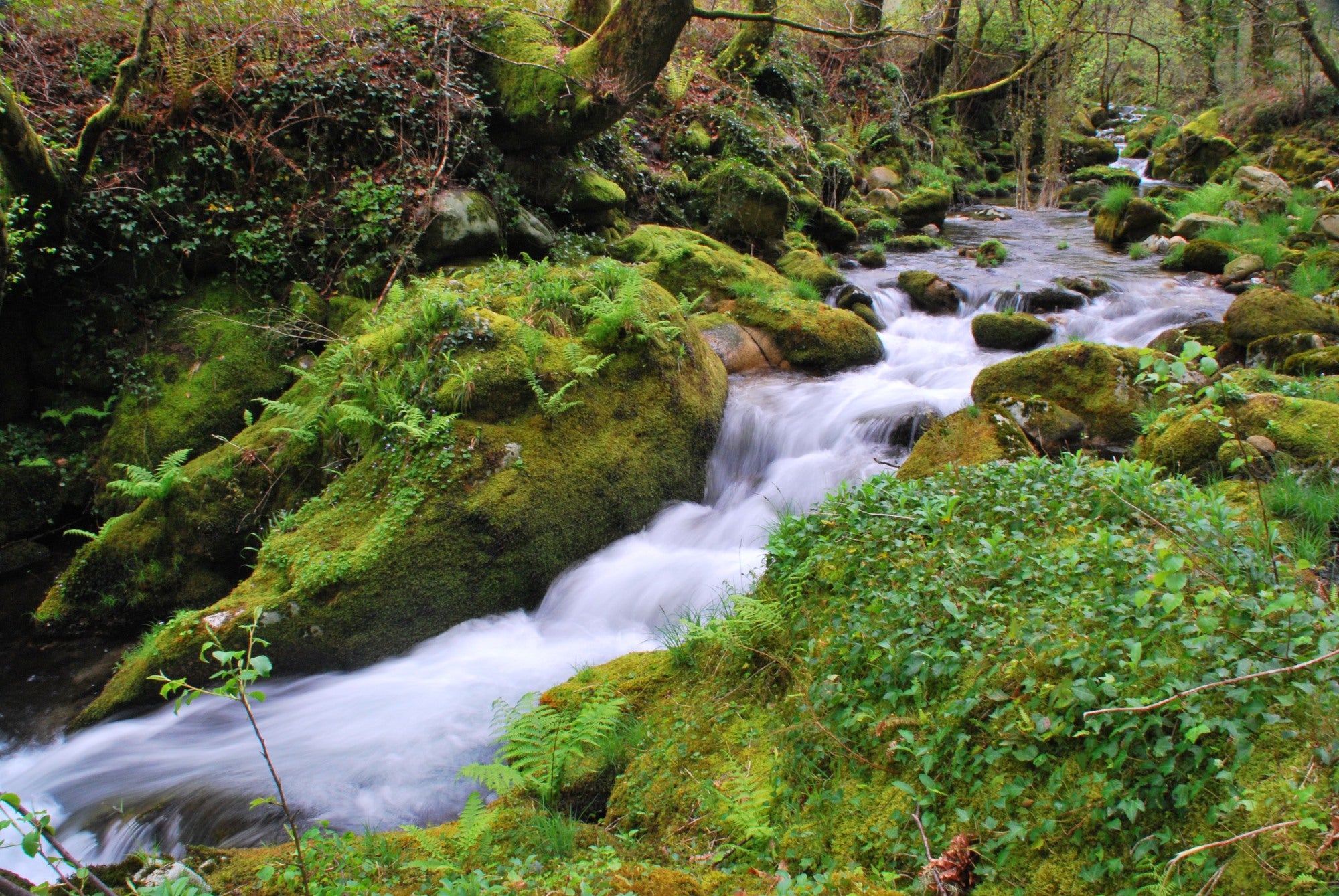 Río Oitaven. Fornelos de Montes 