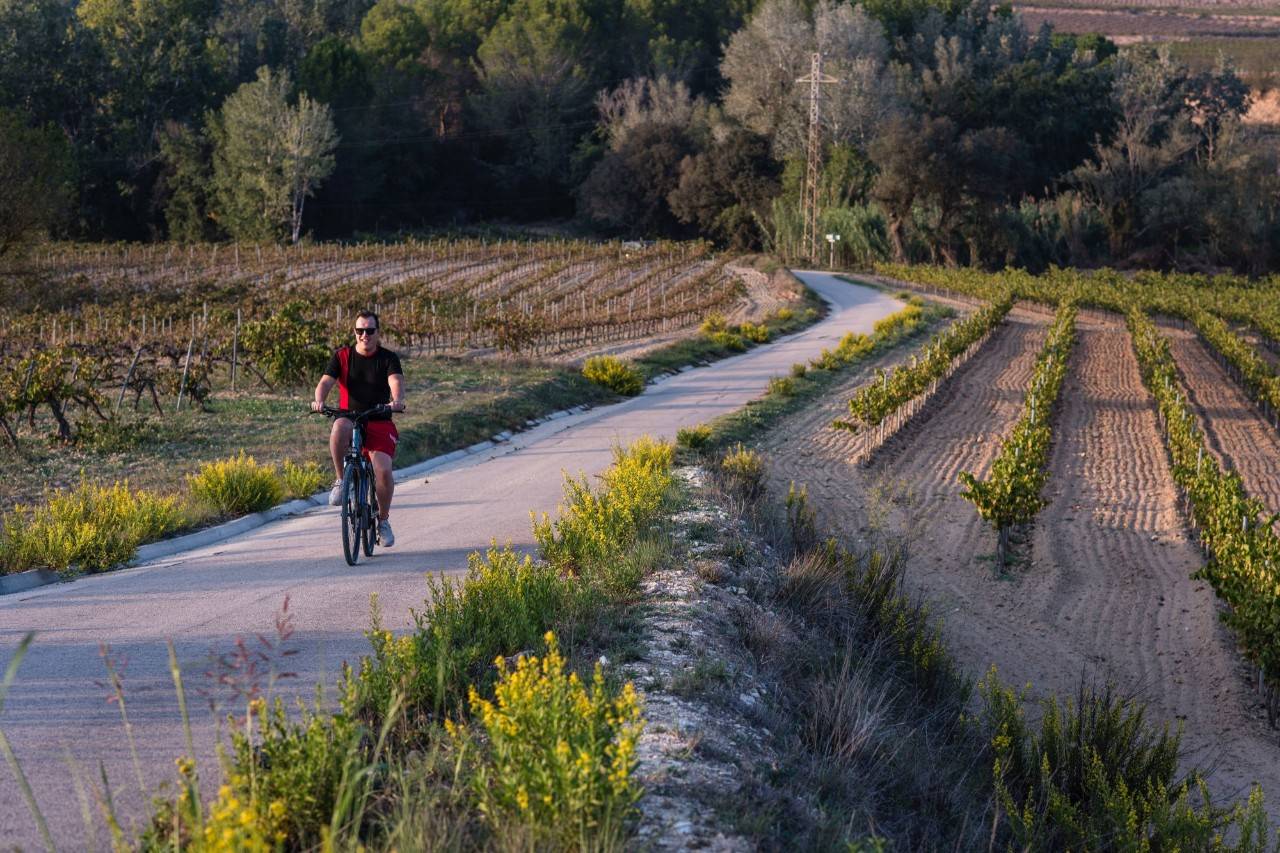 Paseo en bicicleta entre viñedos del Penedés