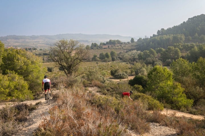 Ciclistas en el mirador de La Cadira (Torrelavit)