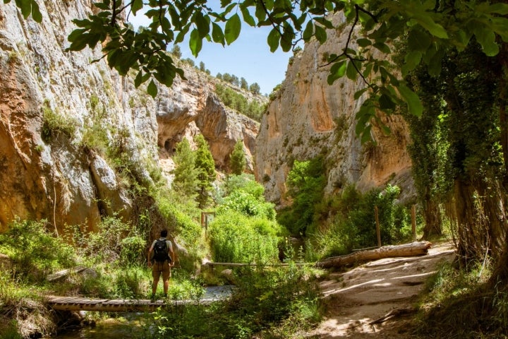 Ruta del Zarzaral  cañón
