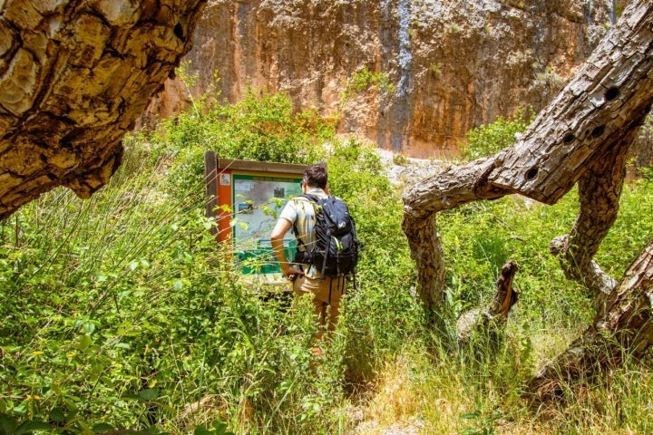 Ruta del Zarzaral zarzas