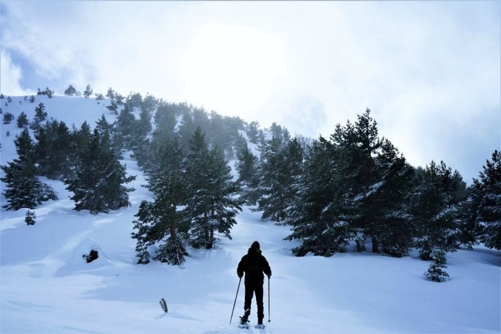 Asturias en invierno. Ruta con raquetas por el puerto de Tarna.