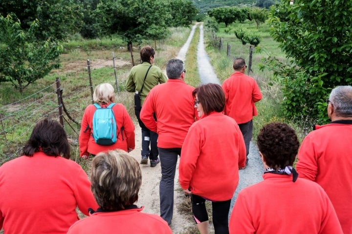 Caminando hacia la finca, con la guía a la cabeza, se inicia la experiencia de agroturismo.