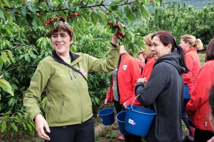 Dalila, guía de ValleAventura, explica cómo recoger la fruta del árbol.
