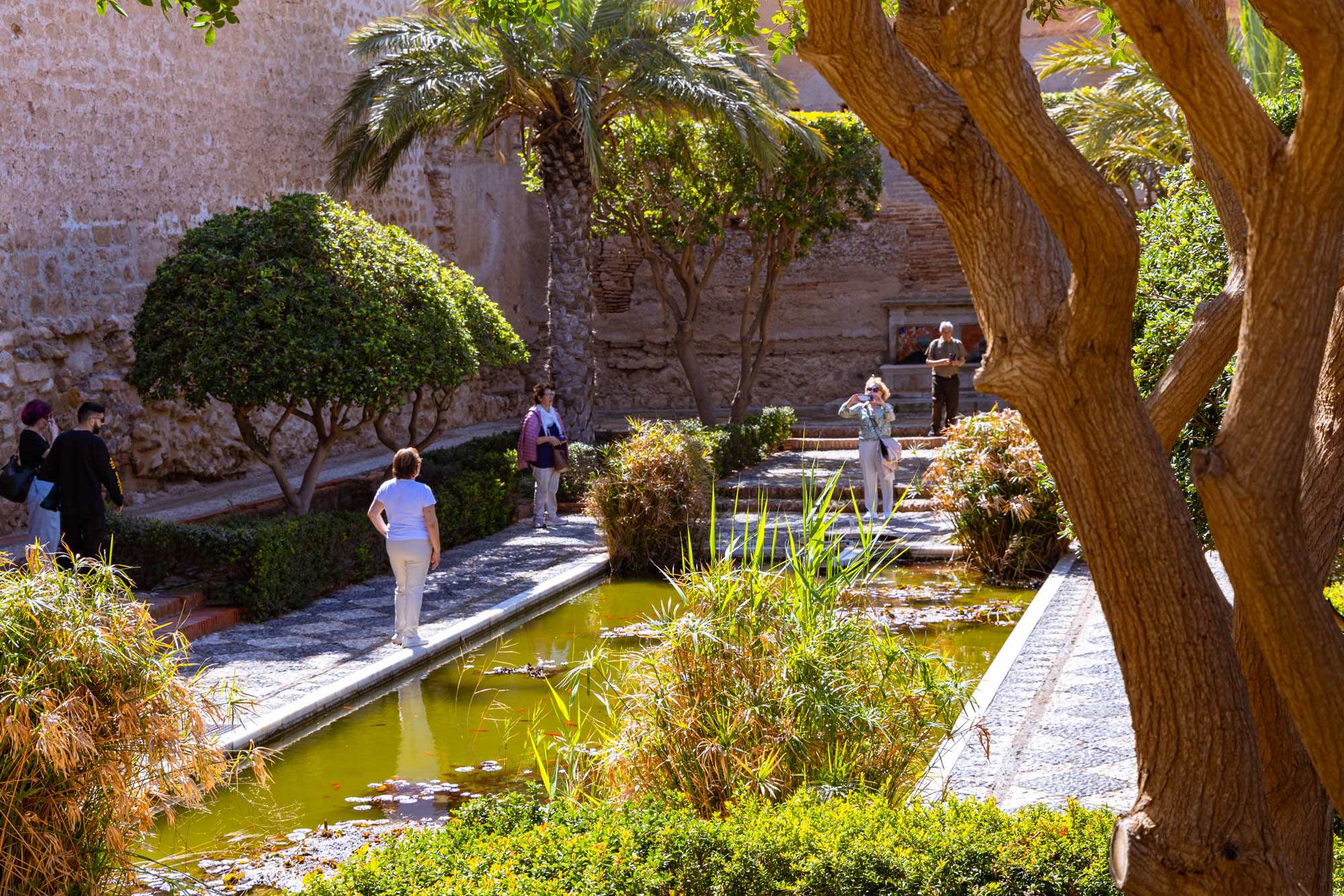 El Patio de la Alberca, una de las intervenciones con las que Prieto Moreno transformó la Alcazaba inspirándose en la Alhambra. 