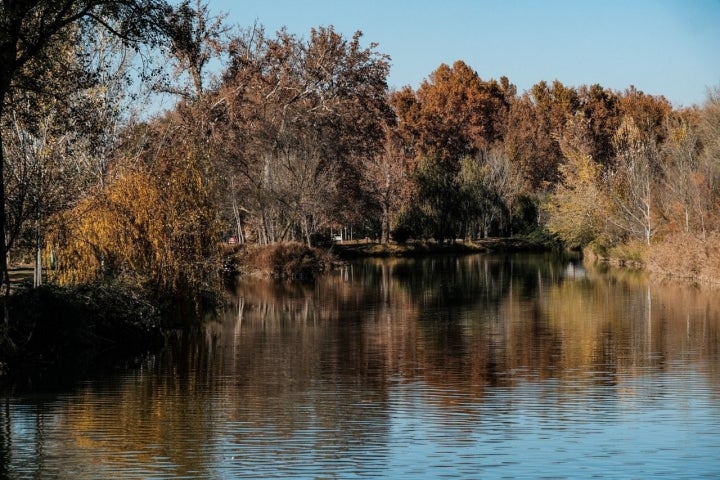 Río Tajo Aranjuez