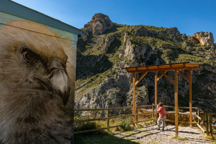 Mirador del Buitre en Arnedillo (La Rioja).