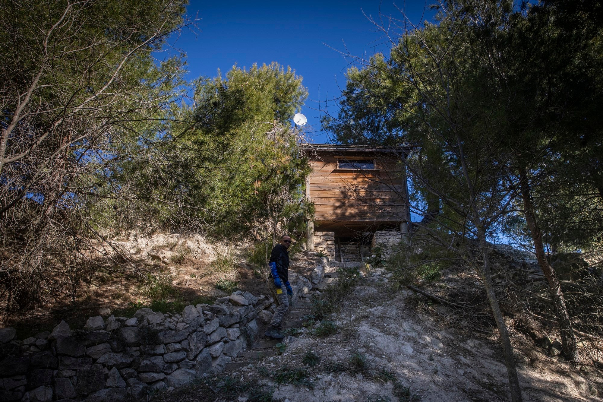 Buitre Sierra Mariola