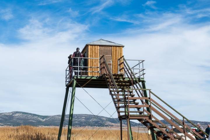 Avistamiento de grullas en Gallocanta: observatorio de La Reguera