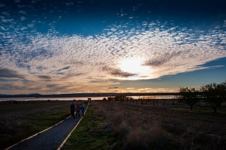 Avistamiento de grullas en Gallocanta: camino al observatorio de los Aguanares