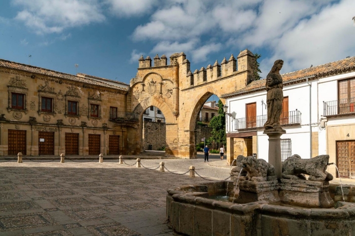 Plaza y fuente de los leones.