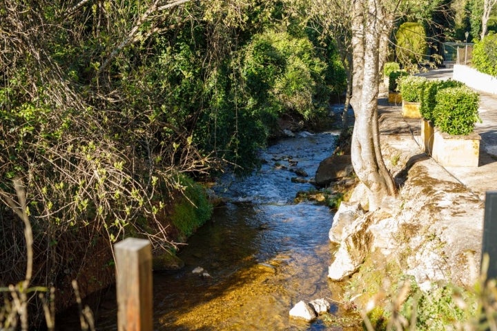 Aguas cristalinas bañan toda la orografía de este paraíso natural.
