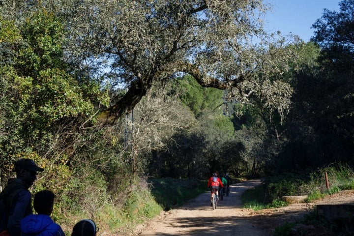 Ciclistas en la ruta.
