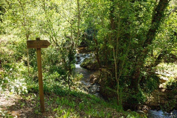 En el camino, letrero que lleva al rincón del duente.