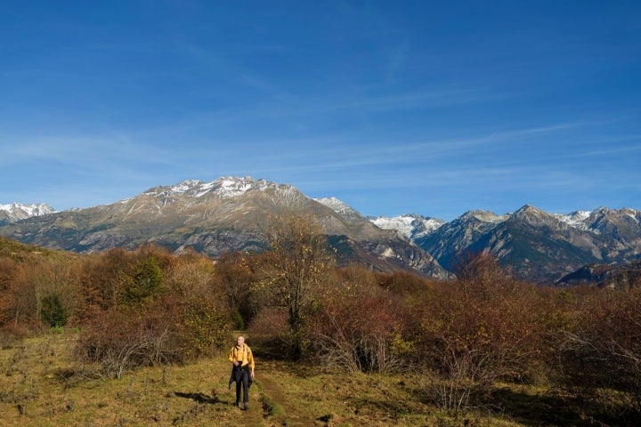 Paseando por el bosque del Betato, con las montañas al fondo