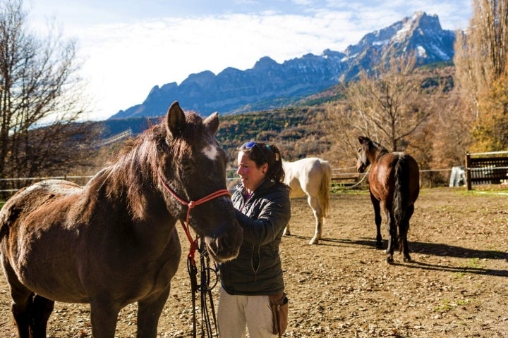 Poniendo las bridas a uno de los caballos antes de iniciar el recorrido