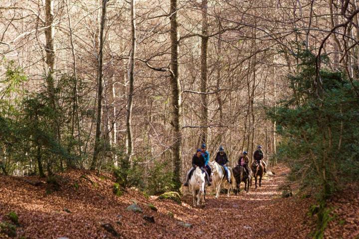 Un grupo de turistas recorre el bosque del Betato a caballo