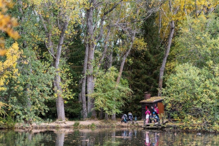 Bosque Finlandés Rascafría apertura lago y sauna