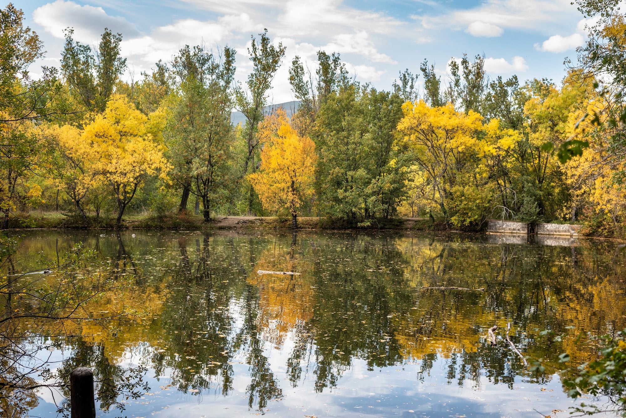 Bosque Finlandés Rascafría otoño
