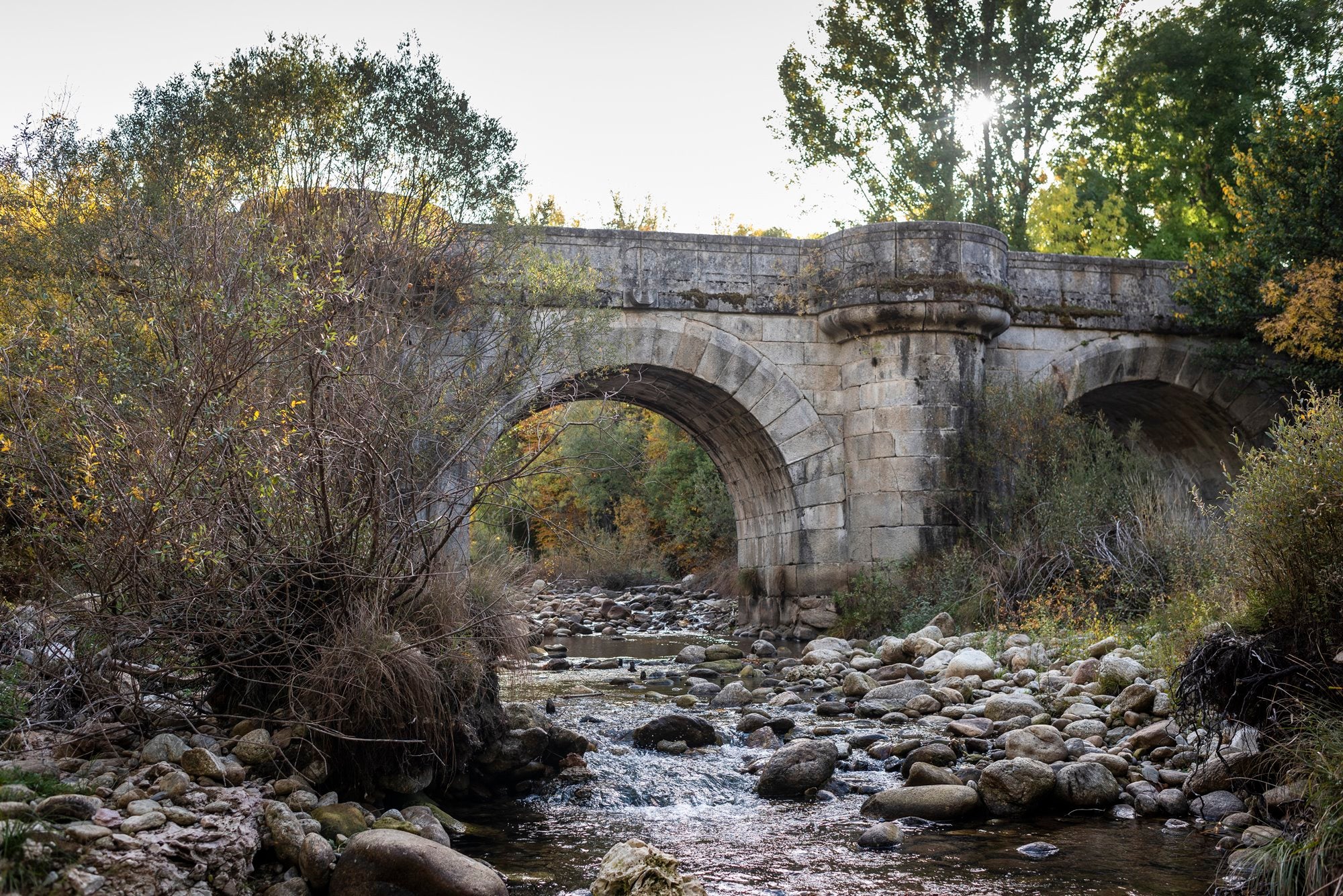 Bosque Finlandés Rascafría puente del perdón