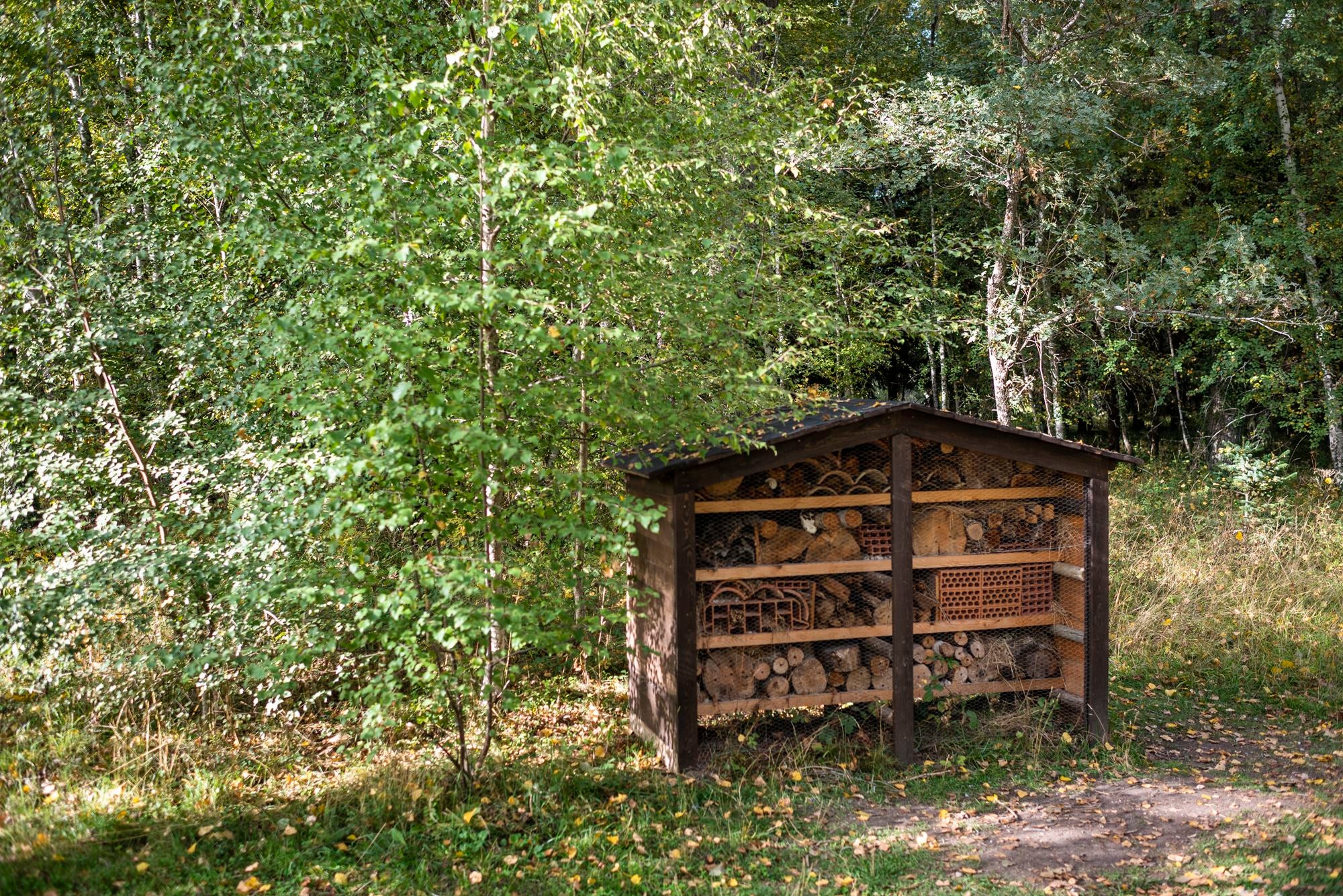 Bosque Finlandés Rascafría hotel de insectos