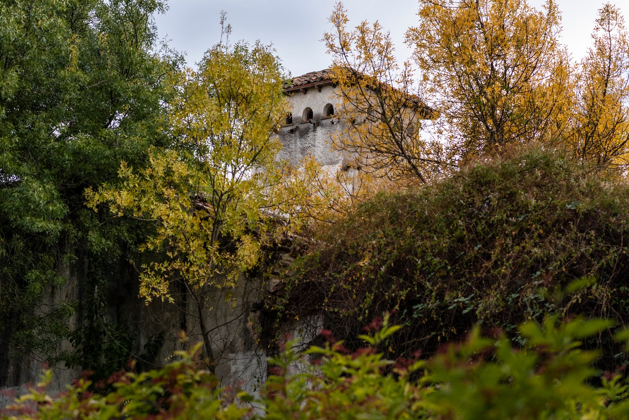 Bosque Finlandés Rascafría torre palomar