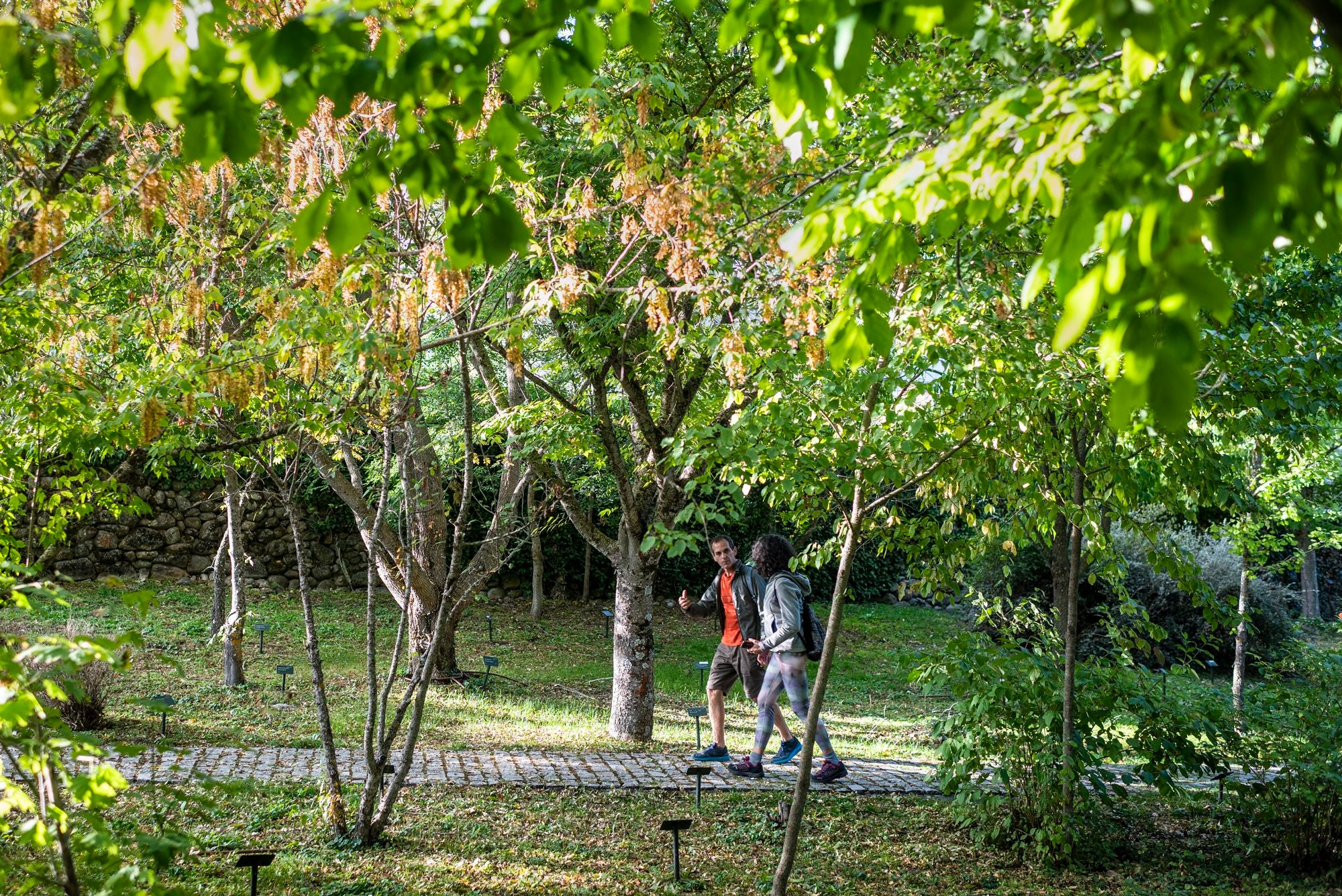 Bosque Finlandés Rascafría pareja en Arboreto