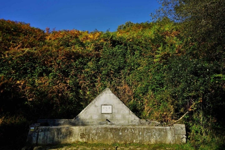 Cementerio natural Ponga