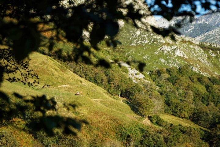 Prados Ponga Asturias