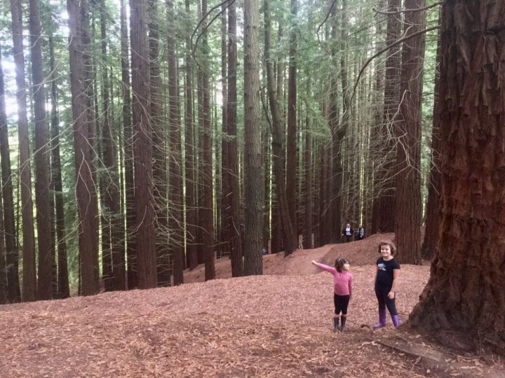 Unas niñas junto a las secuoyas en el Monumento Natural a las Secuoyas en Cantabria.