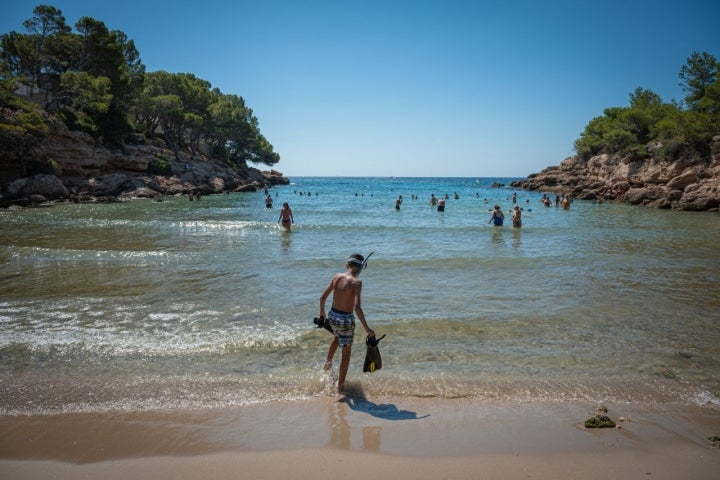 Calas de L'Ametlla de Mar (Tarragona): niño en la orilla de Cala Calafató