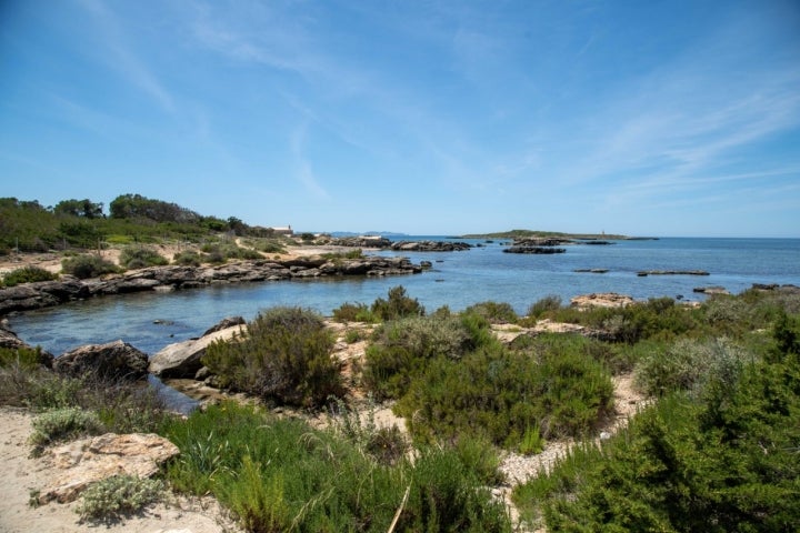 Este enorme arenal de finísimo grano está cubierto de posidonia y de ramas vertidas por el mar.