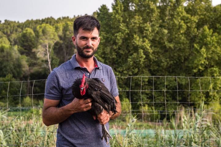 Camí del Riu: Carlos Herrero, de 'Can Nadal', con uno de sus gallos negros del Penedés