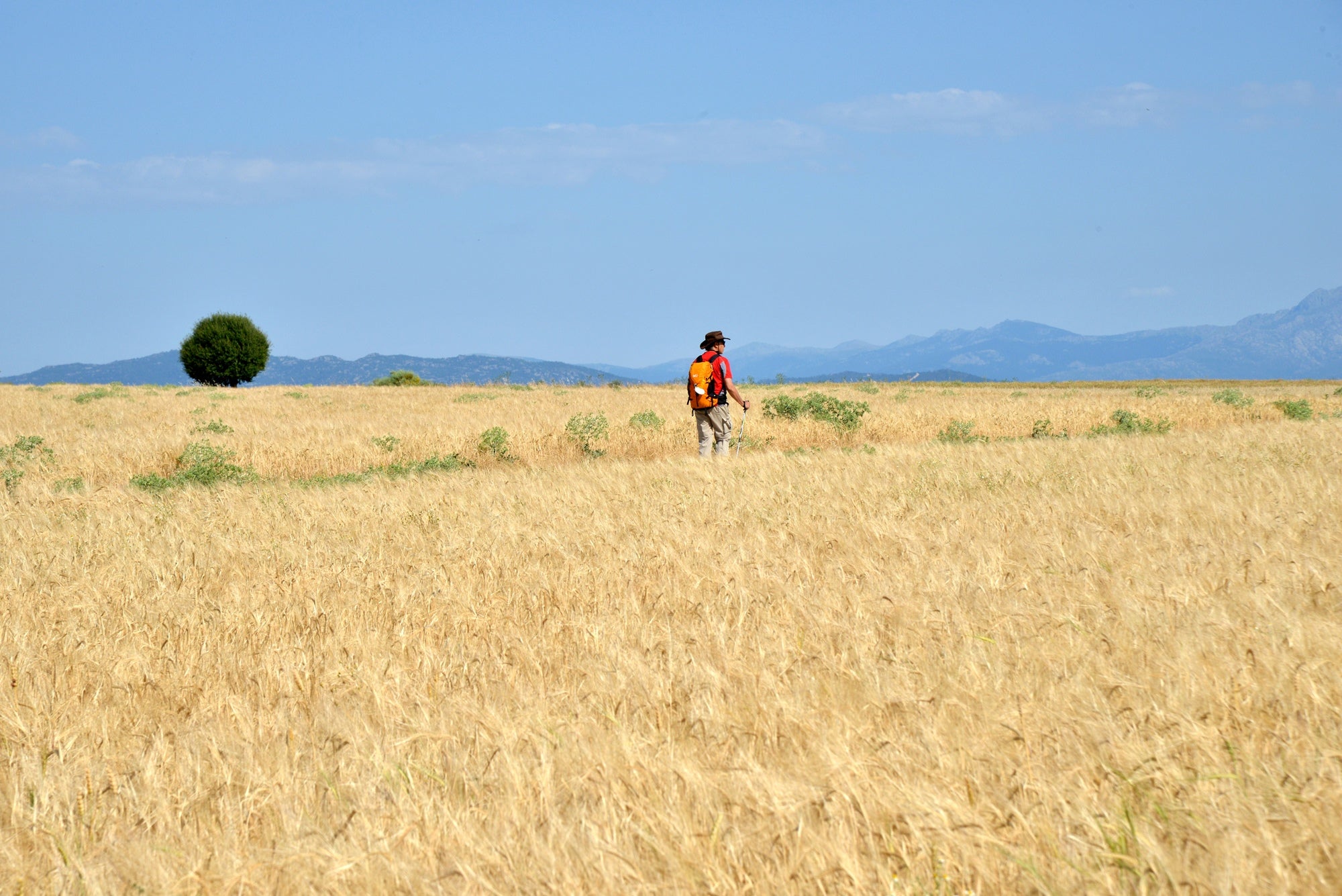 Camino de Santiago Madrileño Etapa 2 vía pecuaria