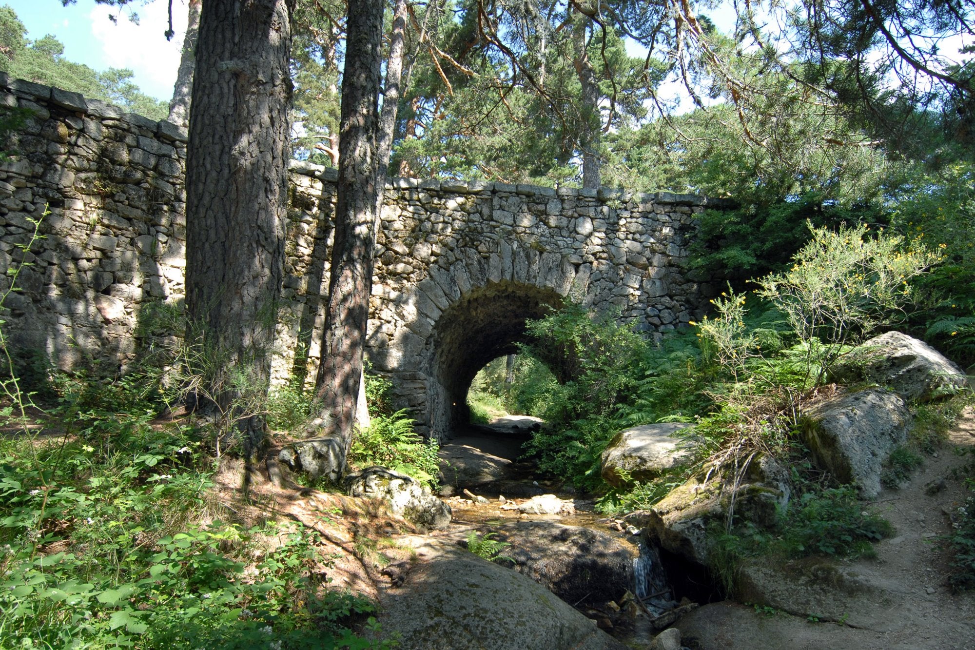 Camino de Santiago Madrileño Etapa 4 Puente del Descalzo