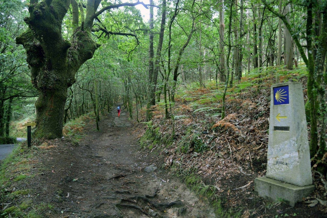 En busca de la gloria a través de un mundo rural