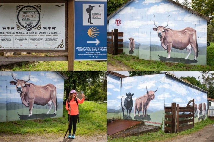 Un photocall improvisado en mitad de la ruta.