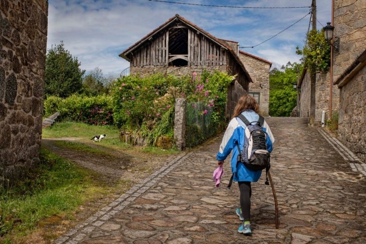 Gato, aromáticas rosas, casas de piedra y madera, una estampa rural que parece preparada.