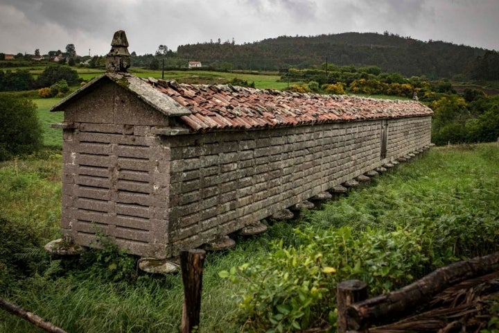 Como un ciempiés varado en el tiempo, uno de los hórreos más largos de Galicia, oculto tras el templo.