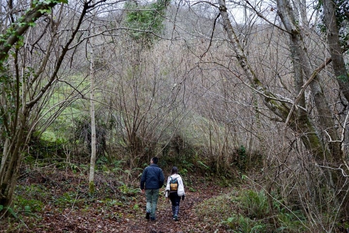 Camino Medieval Bandujo