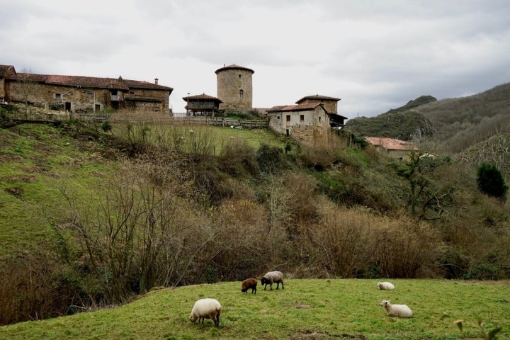 Camino Medieval Bandujo