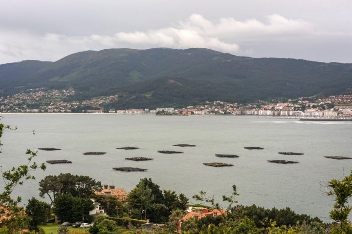 Camino Portugués por la Costa (Tramo 2): bateas desde el Monte Ferro en Nigrán