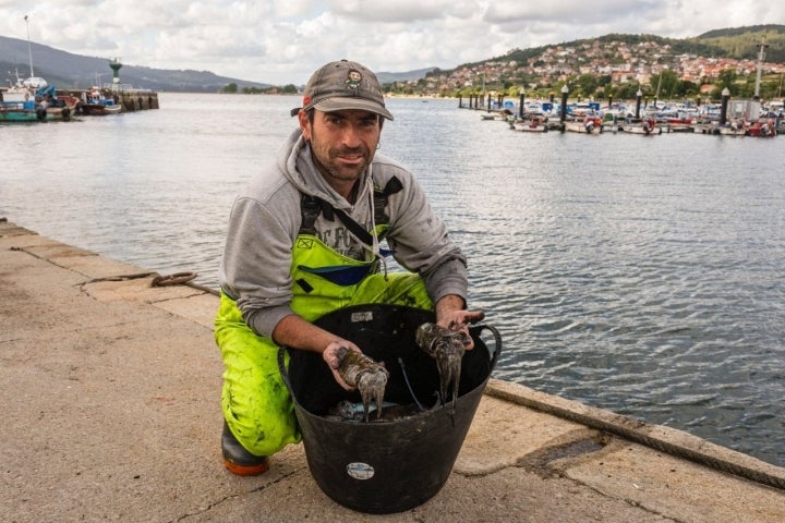 Camino Portugués por la Costa (Tramo 2): José, del barco 'Ramona', en la lonxa de Cesantes