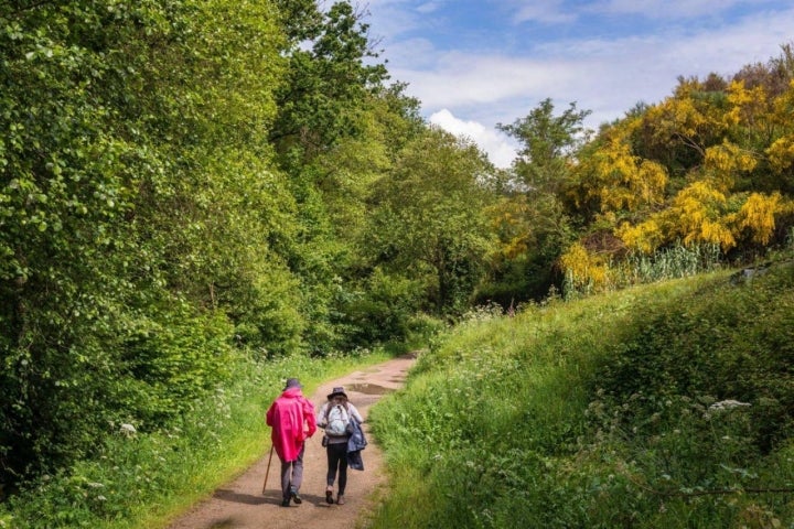 Camino Portugués por la Costa (Tramo 3): peregrinos en el camino de Alba