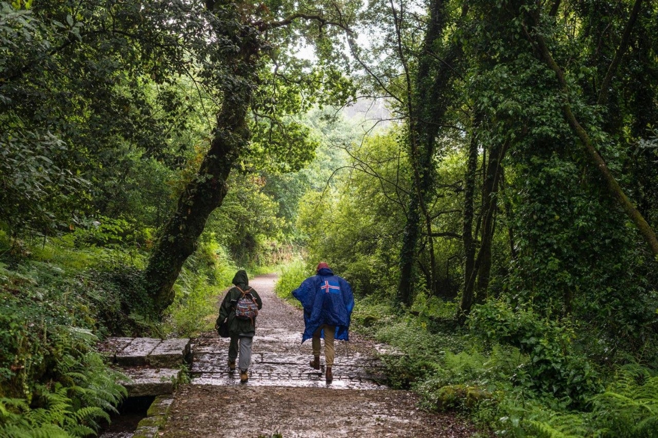 Cartel Instagram Personalizado línea Forest