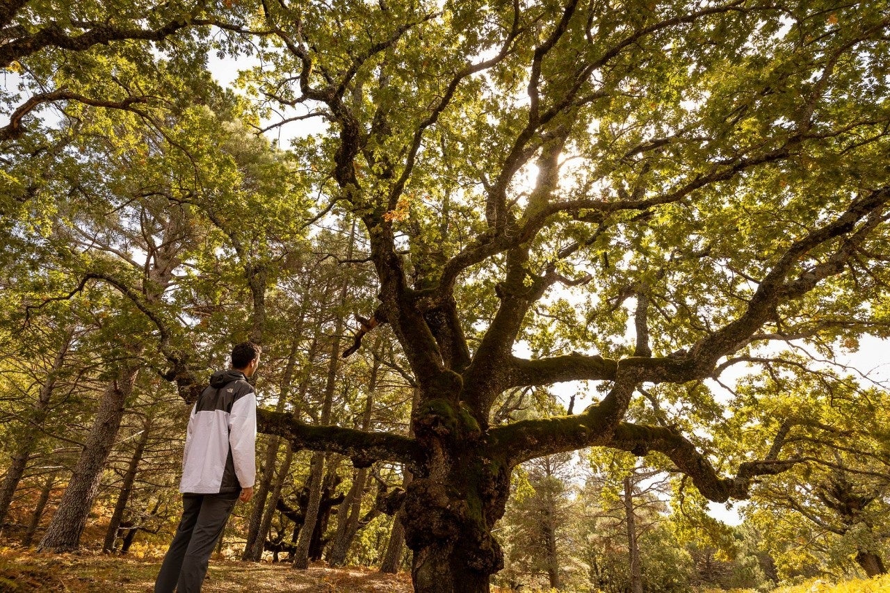 Las joyas del otoño más desconocidas del Valle del Tiétar