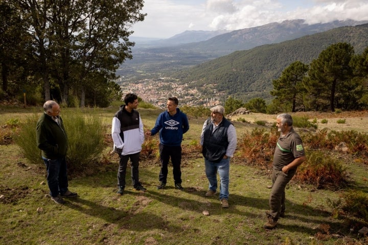 Castañar Piedralaves