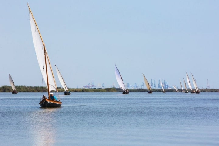 Vista de varios regatistas durante la exhibición en el puerto de Catarroja, Valencia.